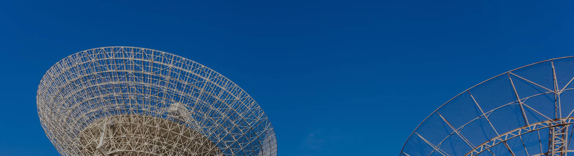 公告信息banner1